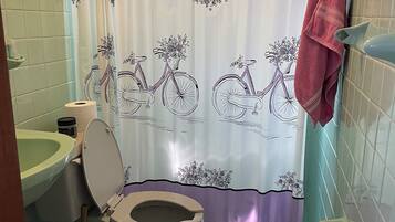 Shower, towels, toilet paper