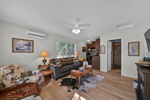 TV, fireplace, books