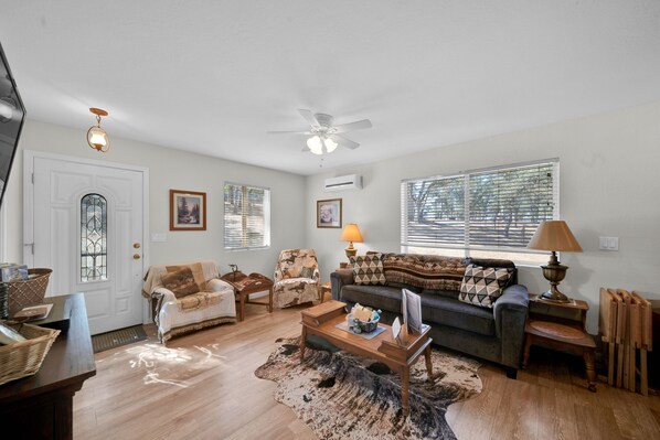 TV, fireplace, books