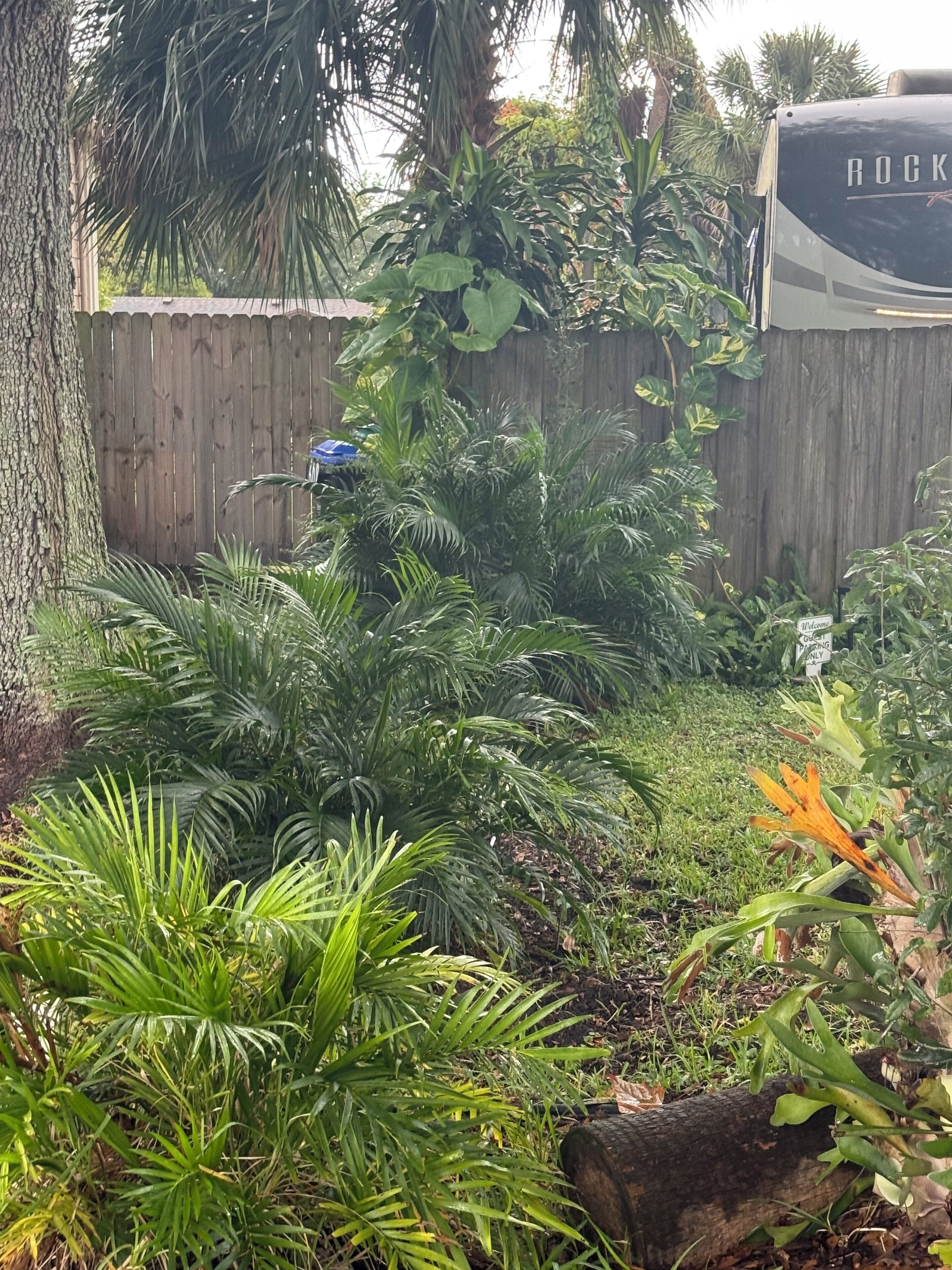 Parco della struttura