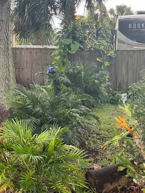 Overnattingsstedets uteområder