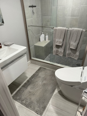 Ducha, secador de pelo, bidet, toallas