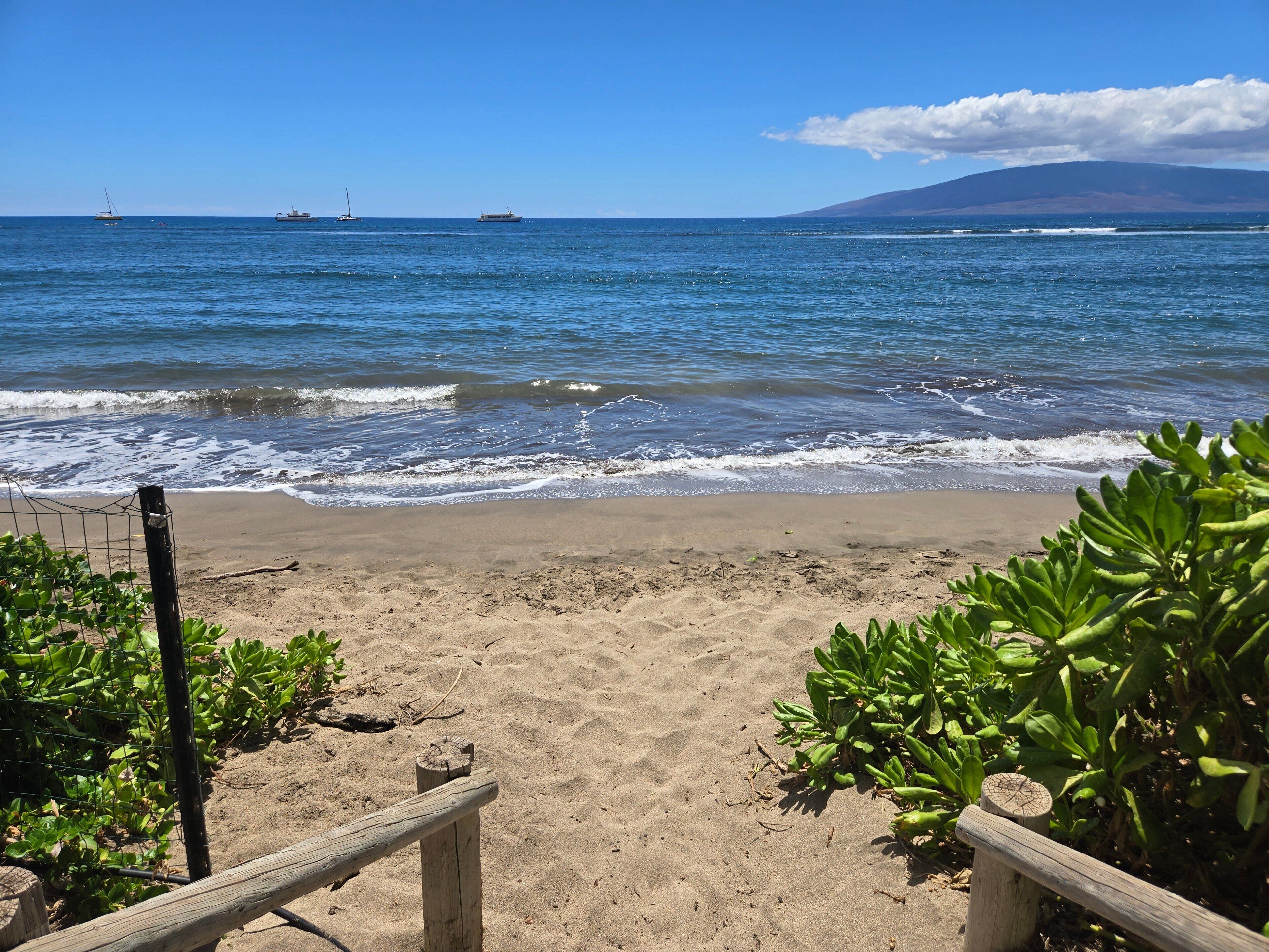 Uma praia com cerca de madeira e plantas verdes em primeiro plano, que se estende até o oceano.