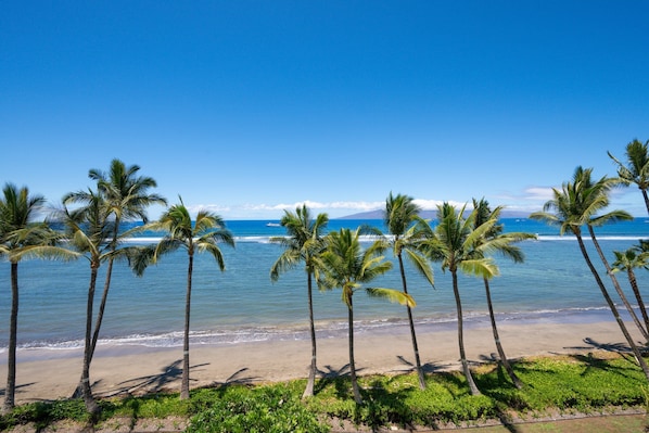 Beach - Lahaina Shores 527 – Relaxing Oceanfront Escape (Lahaina)