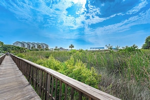 A wooden boardwalk leading through a natural area with dense vegetation and a clear sky.