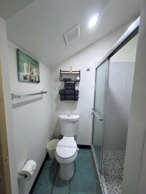 Secadora de cabello, toallas, jabón, papel de baño 