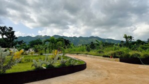 A paved pathway leading through a landscaped garden with tropical plants and a view of distant mountains under a cloudy sky. - The Ranch Jamaica Eco Resort and Ranch (St. Catherine Parish)