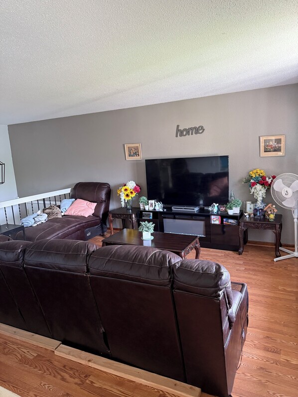 Smart TV, fireplace, books, computer monitors