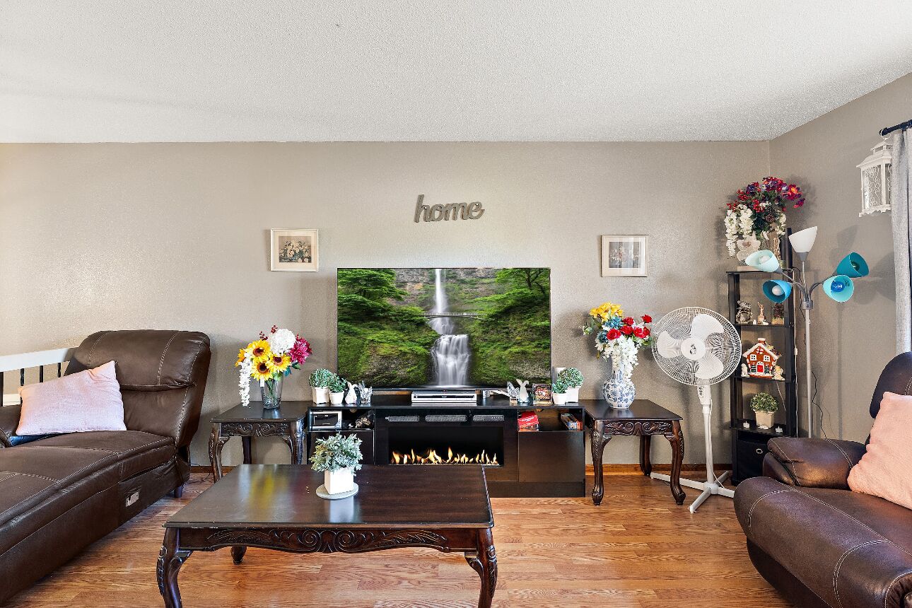 Smart TV, fireplace, books, computer monitors