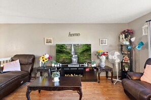 Smart TV, fireplace, books, computer monitors