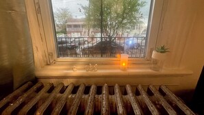 A window with a view of a street, a radiator, and a small plant on the windowsill.