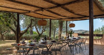 Podere Delle Vigne, in the Vineyards of Maremma