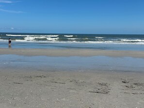 Beach - Beautiful Modern Beach House, across from Golf Course, Spacious Backyard (Brigantine)