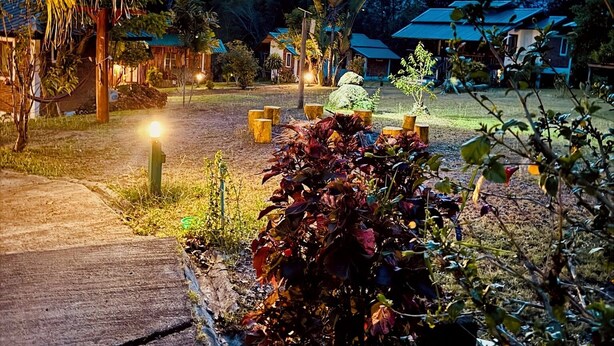 A tropical resort with a paved walkway, palm trees, and well-lit buildings. - The Nest Pai Love Resort (Pai)