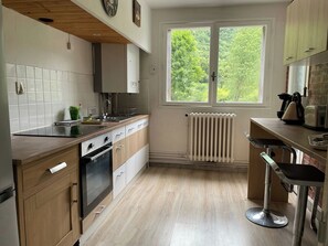 Private kitchen - Cozy Mountain View 3-bedroom Pyrenees Apartment (Saint Beat Lez)