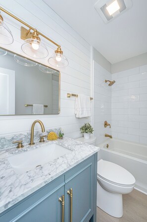 Hair dryer, towels, soap, toilet paper