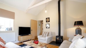 A living room with a television, sofa, fireplace, and a lamp. - Cowlands 3 bed, barn conversion, pet friendly, three bedrooms, Sleeps 6 (Truro)