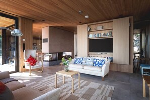 TV, fireplace