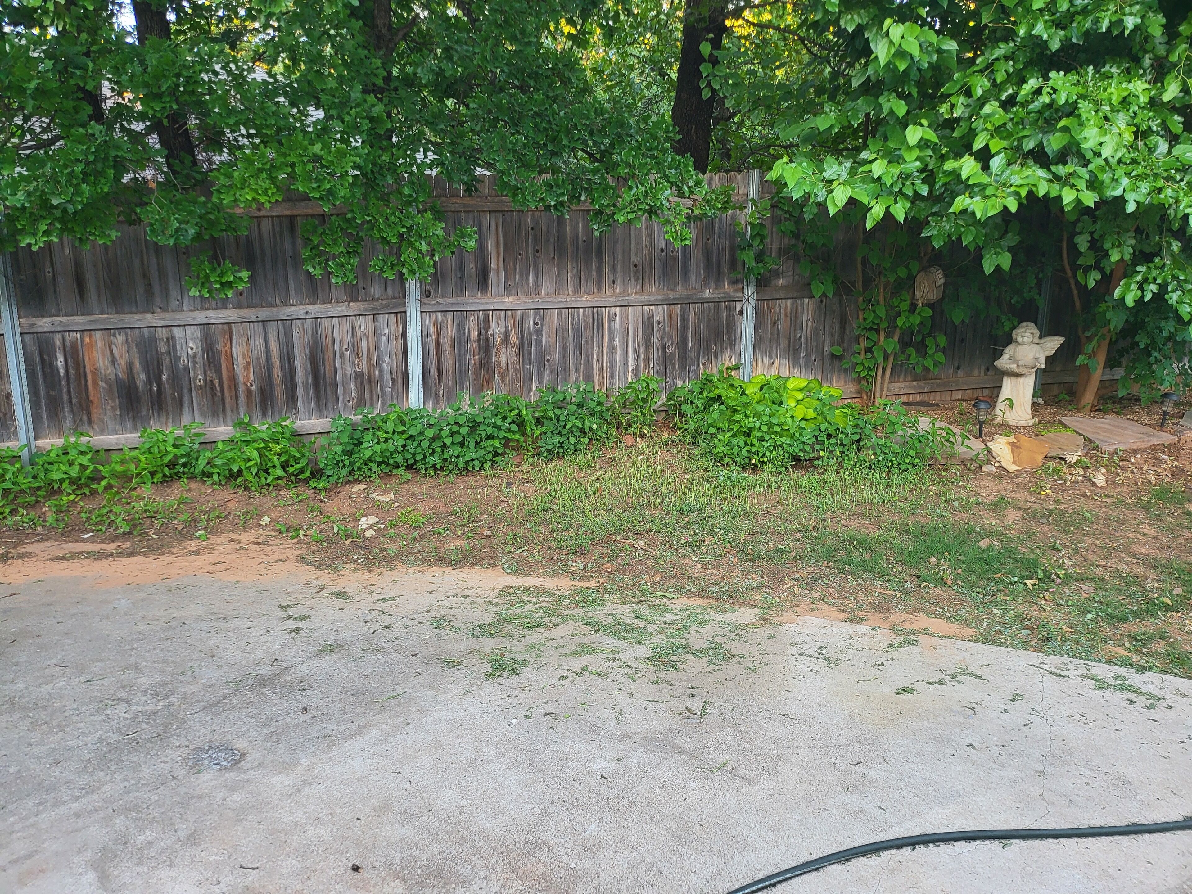 Àrea exterior de l'allotjament