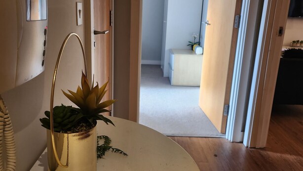 Moderni sisustus, jossa on pyöreä valkoinen pöytä, kullanvärinen kasvi kullanvärisessä ruukussa ja puulattia.