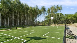 Una cancha deportiva con aro de baloncesto, rodeada de árboles.