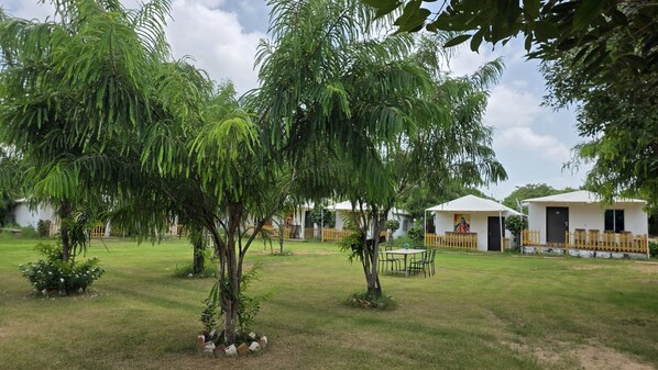 Garden view