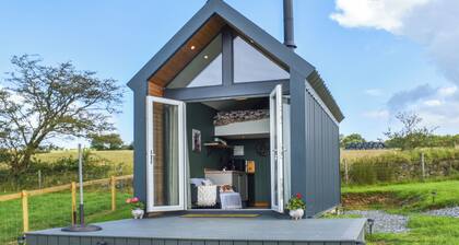Llandremor Fawr Lodge - UK50336