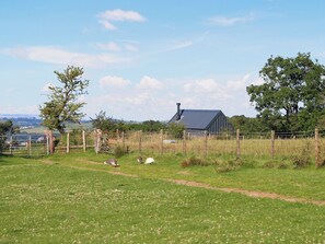 Un paysage rural avec un champ délimité par une clôture, une grange et un ciel dégagé.