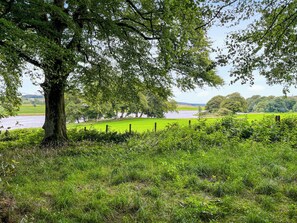 Unclassified image, 4 of 13, button