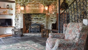 Un salon chaleureux avec une cheminée en pierre, un téléviseur et un fauteuil à motifs.