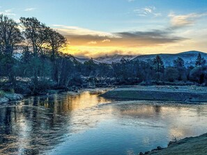 Imagen sin descripción, 3 de 8, botón