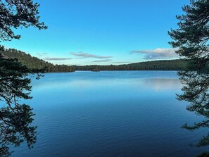 Imagen sin descripción, 2 de 8, botón