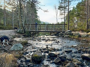A wooden bridge over a rocky stream in a forested area. - 2 bedroom accommodation in Aviemore (Aviemore)
