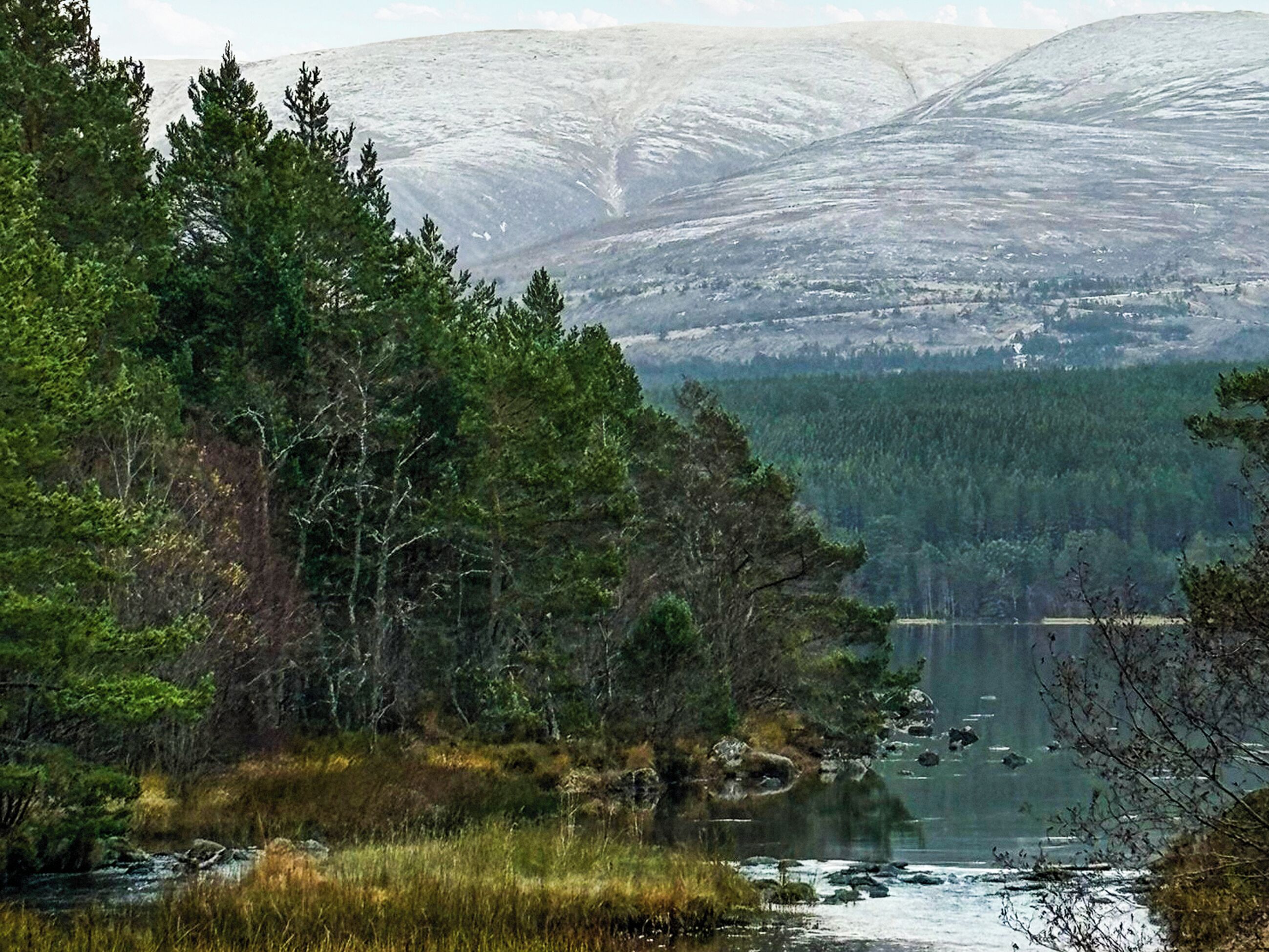 A natural landscape with a lake, dense forest, and distant mountains.