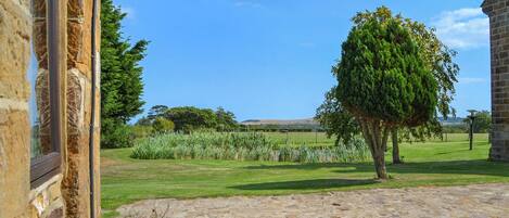 Área da propriedade