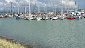 Una marina amb nombroses embarcacions de vela amarrades.