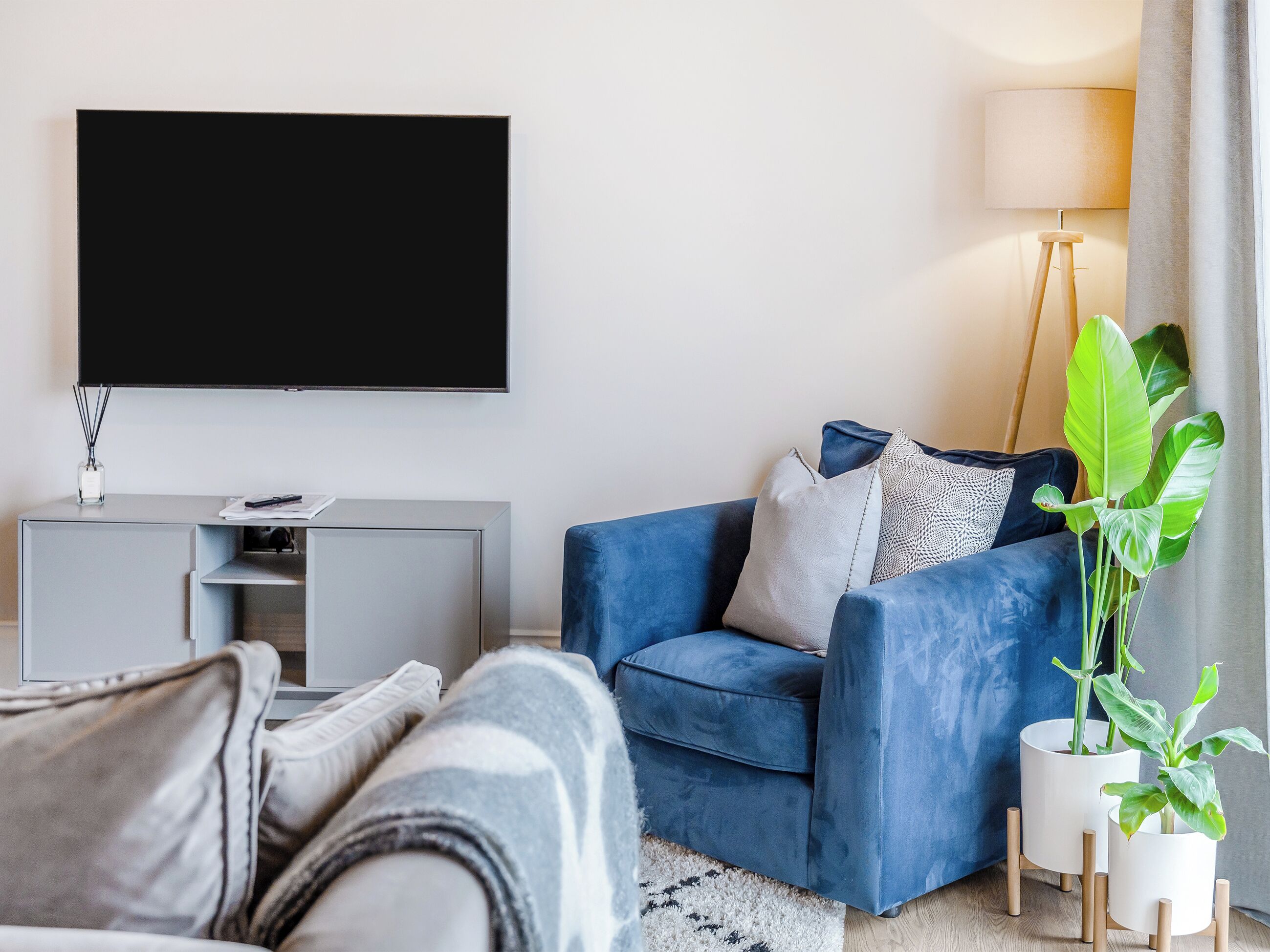 TV