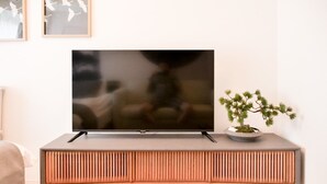 Un televisor de pantalla plana sobre un mueble bajo de madera con una planta en maceta a su lado.