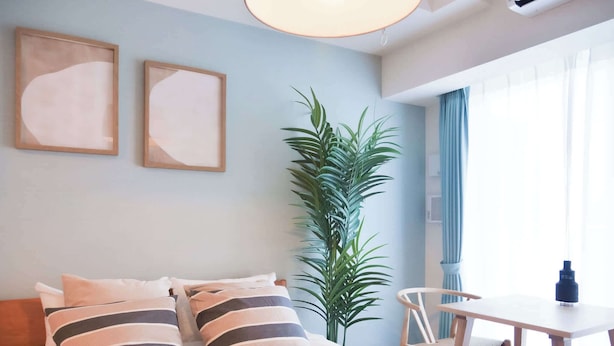 Habitación de hotel con cama, dos cuadros enmarcados, planta en maceta, mesa con sillas y ventana con cortinas.