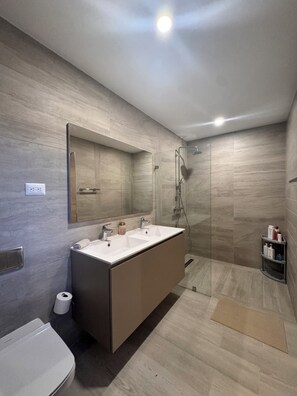 Douche, serviettes fournies, savon, papier de toilette