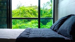 A bed with a dark-colored headboard and footboard, positioned in front of a large window with a view of green foliage. - Private pool great location v144 (Rawai)