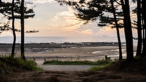 A beach with trees, a path leading to the shore, and a distant view of the ocean.