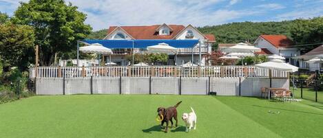 A fenced outdoor area with artificial grass, a building with a red roof, and white umbrellas.