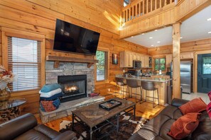 Télévision, cheminée, jeux vidéo, espaces bureaux