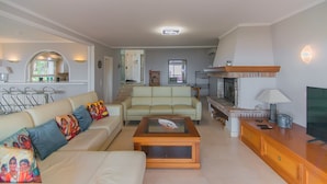 تلفزيون