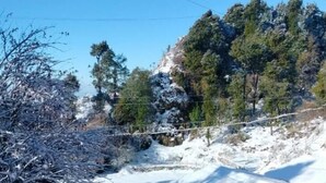 A snowy outdoor area with a metal structure, possibly a pool or water feature, surrounded by snow-covered ground and trees. - Snow Adventure Resort (Dhanaulti)