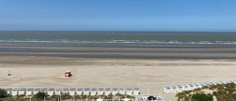 Apartment | View from property