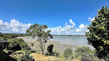 Eine Küstenlandschaft mit Blick auf das Meer, Bäume und eine ferne Küstenlinie.