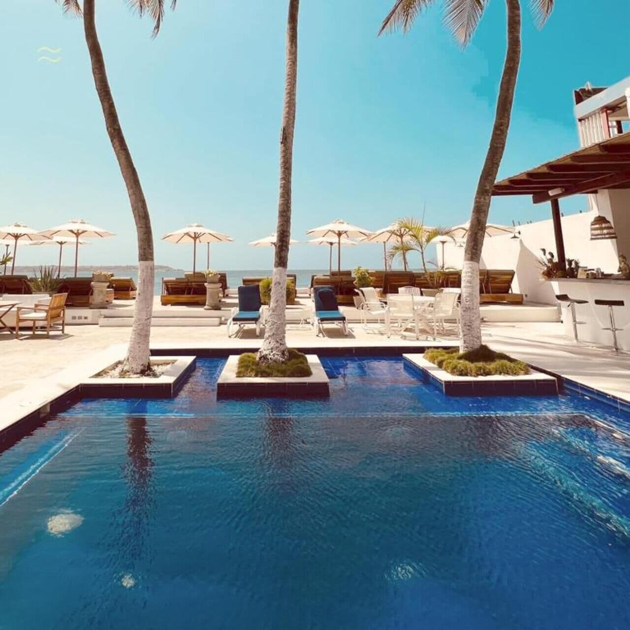 A pool area with lounge chairs and umbrellas, surrounded by palm trees.