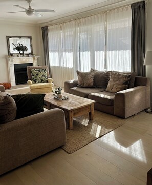 Smart TV, fireplace, video games, books